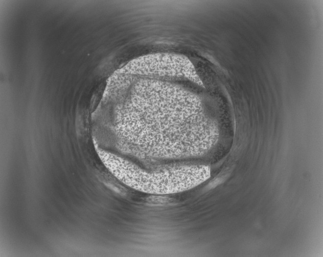 X0000078890528200612111808