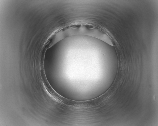 X0000078890530200612111807