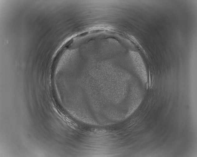 X0000078890531200612111808