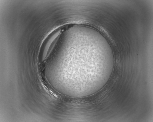 X0000078890532200612111808