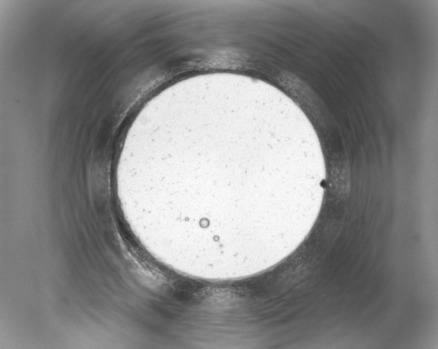 X0000078890534200612111808