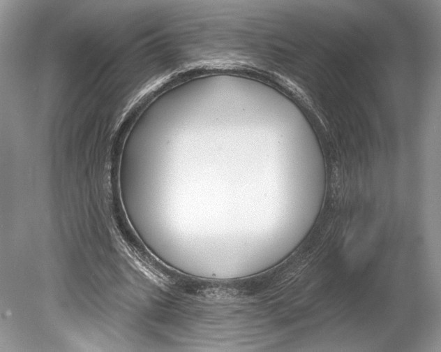 X0000078890535200612111808