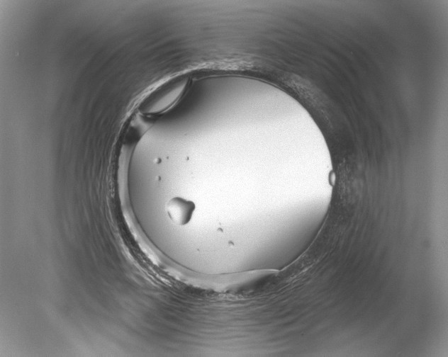 X0000078890536200612111808