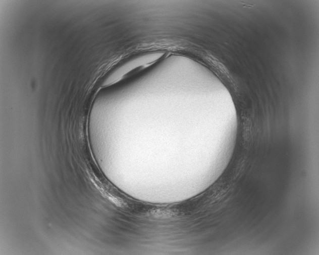 X0000078890537200612111808