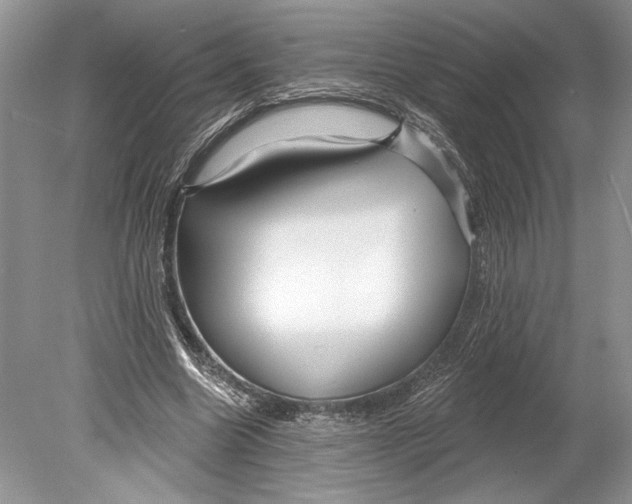 X0000078890538200612111808