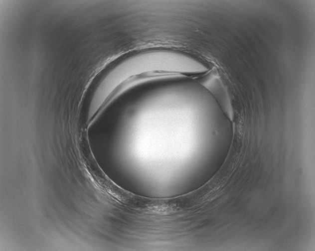 X0000078890540200612111808