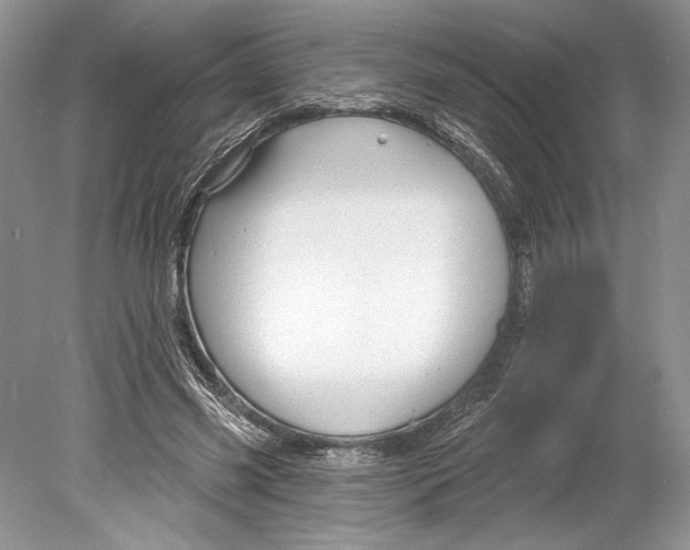 X0000078890541200612111808