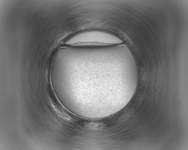 X0000078890542200612111808