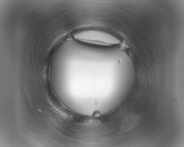 X0000078890543200612111808