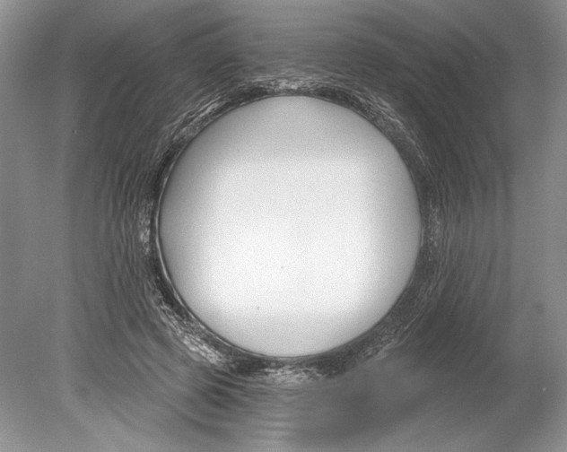 X0000078890545200612111808