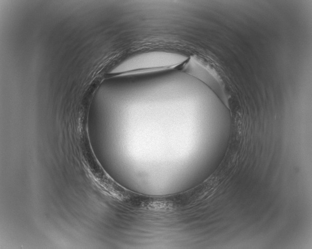 X0000078890546200612111808