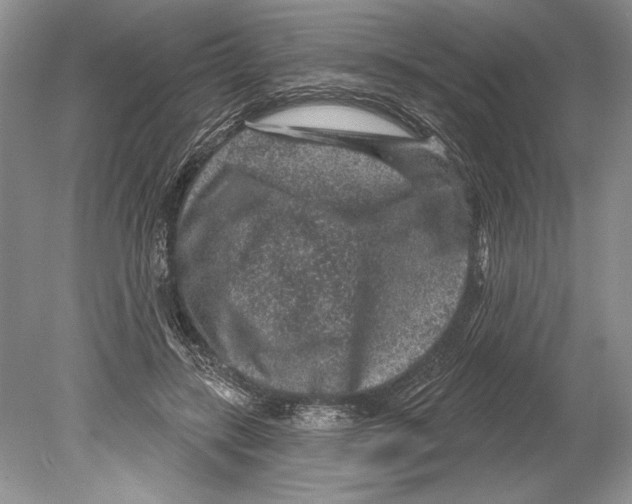 X0000078890547200612111808