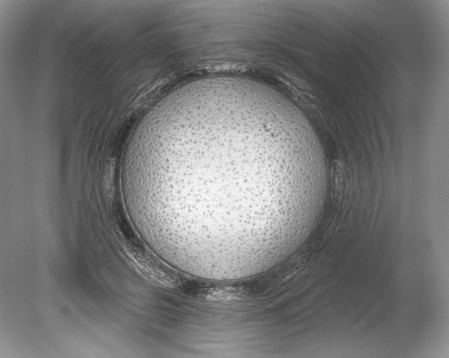 X0000078890550200612111808