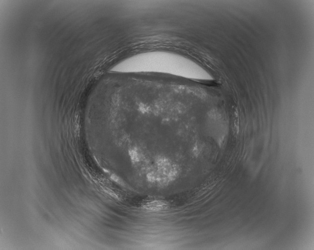 X0000078890551200612111808