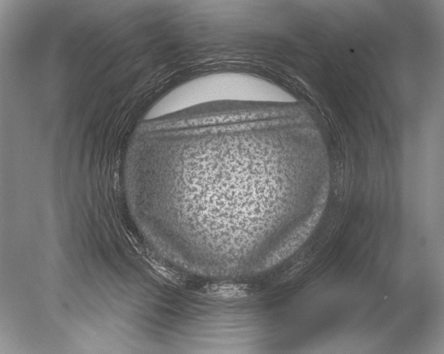 X0000078890553200612111808