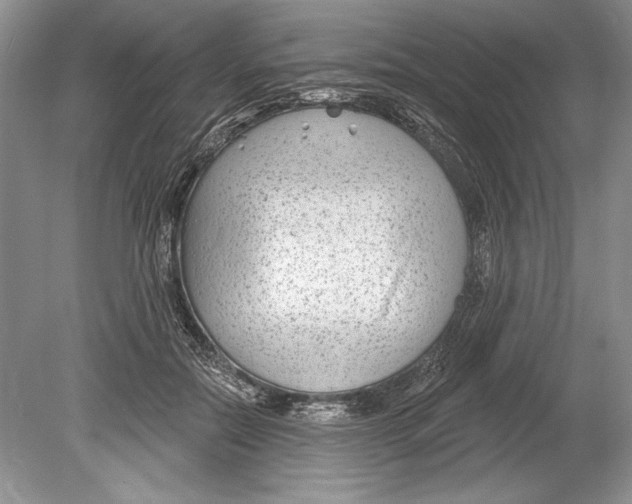 X0000078890554200612111808