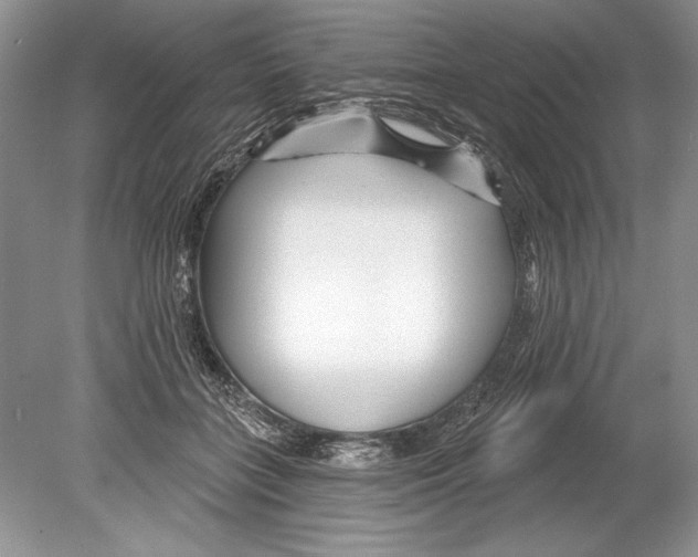 X0000078890555200612111808