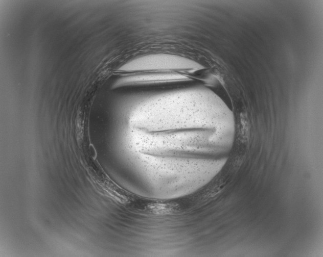 X0000078890558200612111808