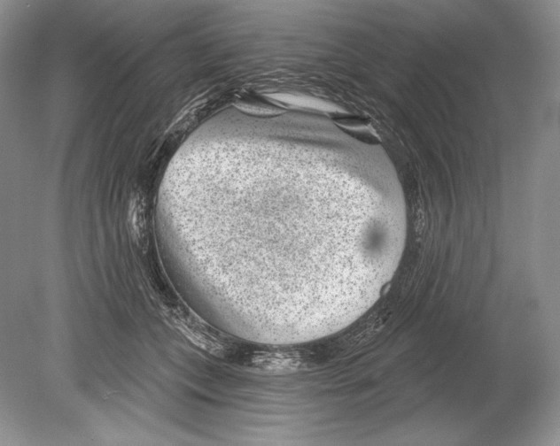 X0000078890559200612111808