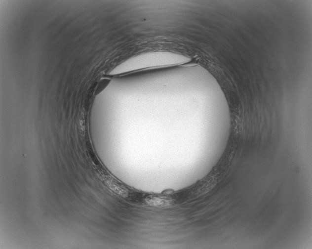 X0000078890561200612111808