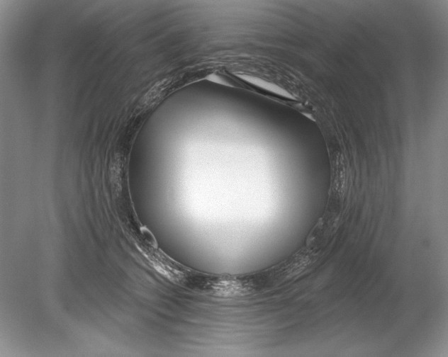 X0000078890562200612111808