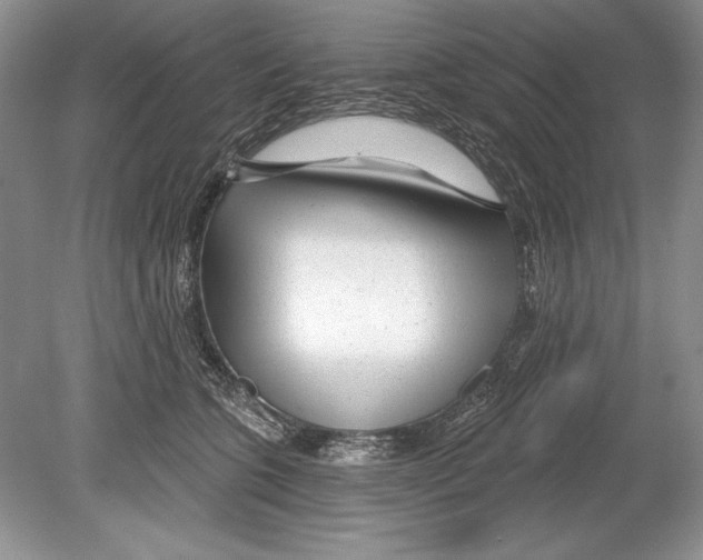 X0000078890563200612111808