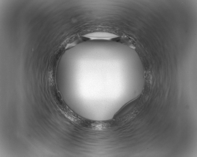 X0000078890564200612111808