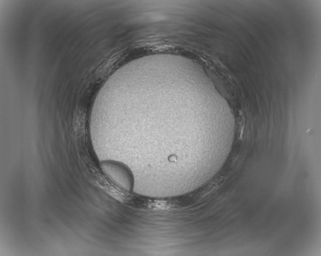 X0000078890565200612111808