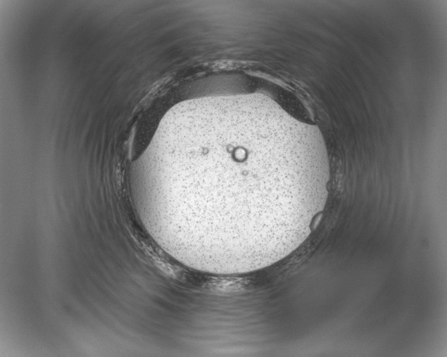 X0000078890569200612111808