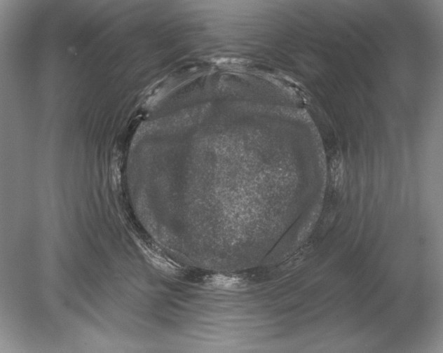 X0000078890570200612111808