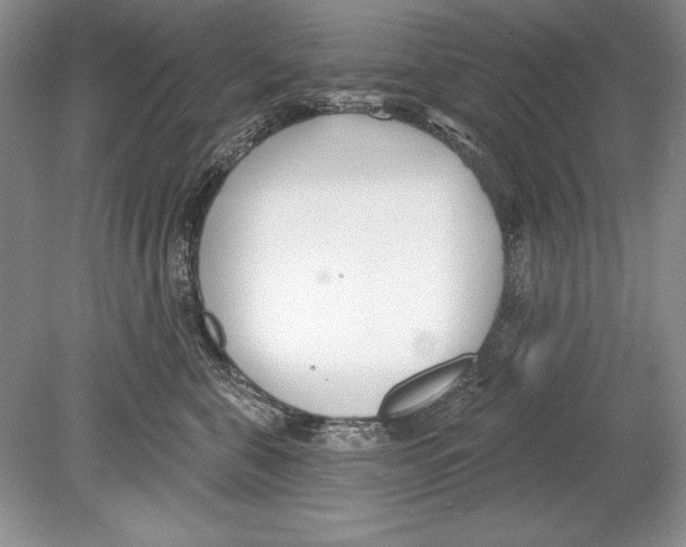 X0000078890571200612111808