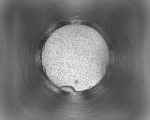 X0000078890573200612111808