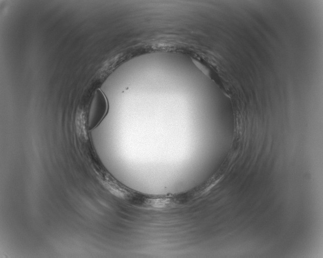 X0000078890575200612111808