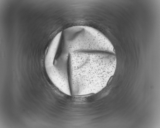 X0000078890576200612111808