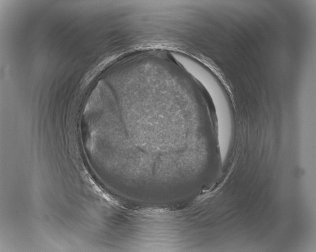 X0000078890577200612111807