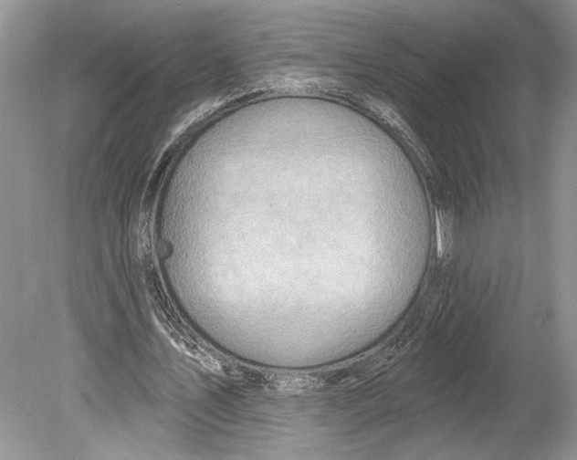 X0000078890579200612111807