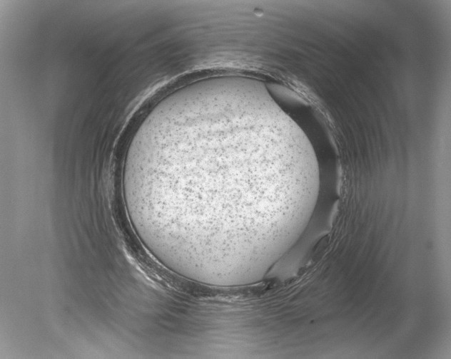 X0000078890580200612111807