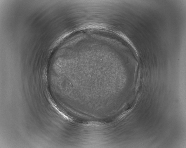 X0000078890581200612111807