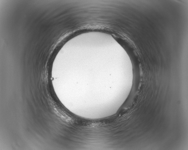 X0000078890584200612111807