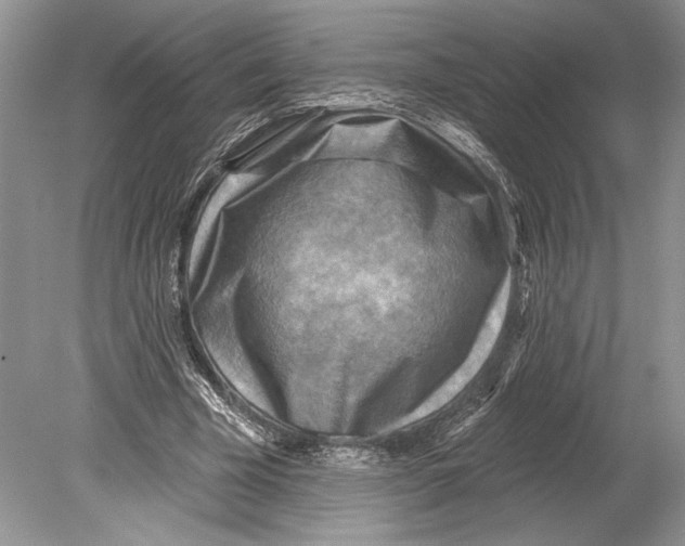 X0000078890585200612111807