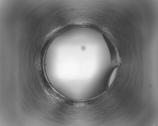 X0000078890587200612111807