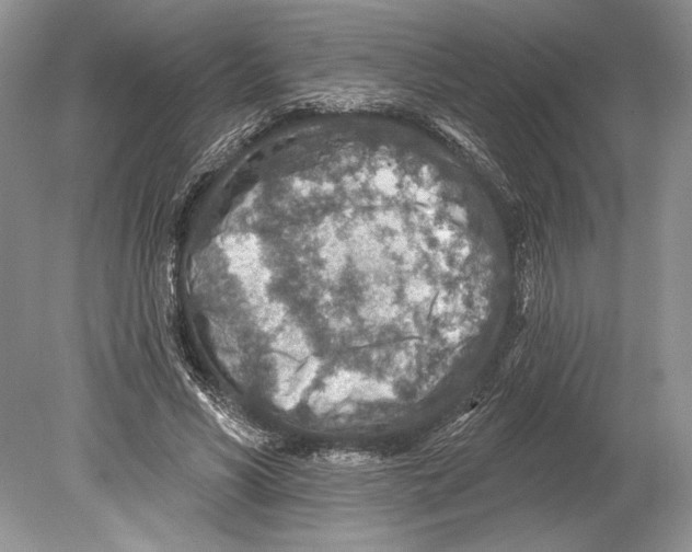 X0000078890590200612111807