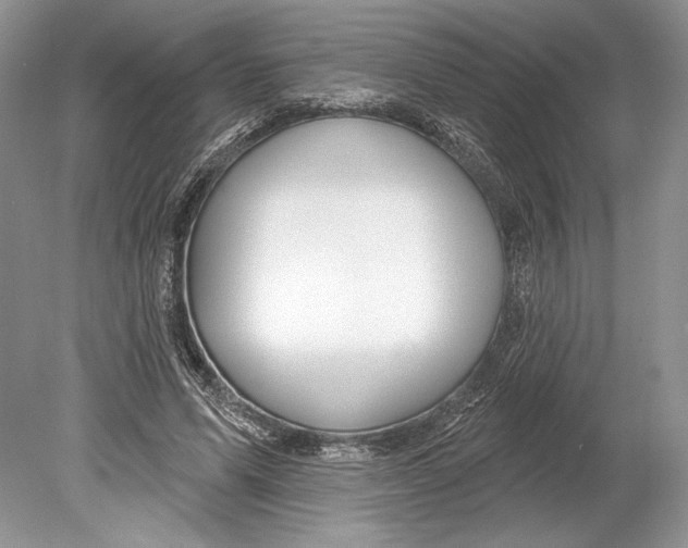 X0000078890591200612111807