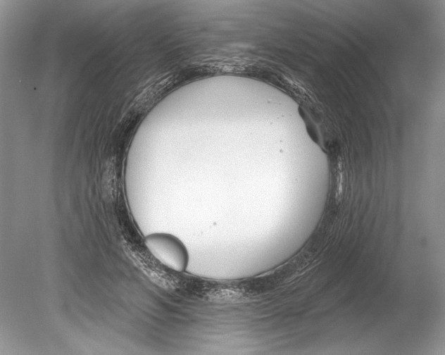 X0000078890594200612111807