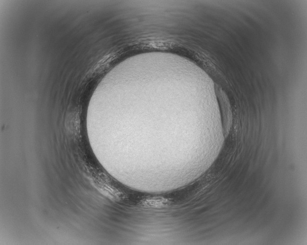 X0000078890595200612111807