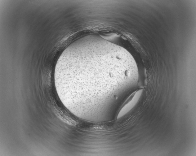 X0000078890596200612111807