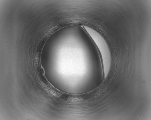 X0000078890597200612111807