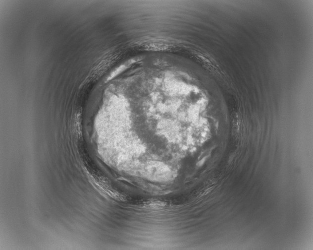 X0000078890598200612111807