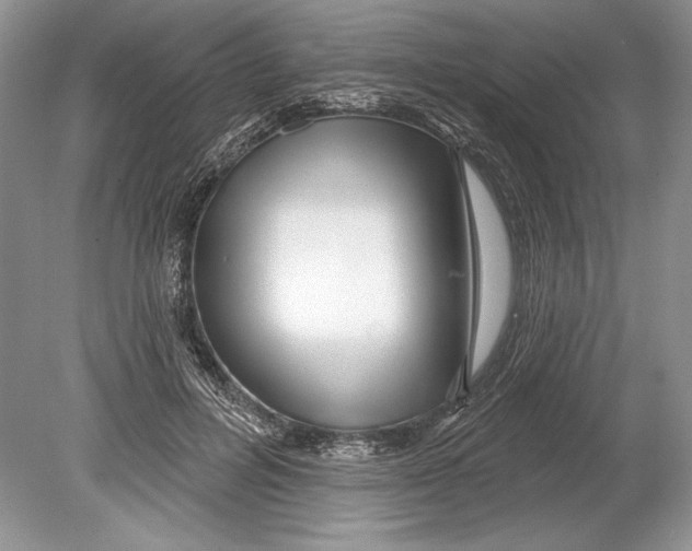 X0000078890600200612111807