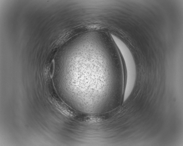 X0000078890601200612111807